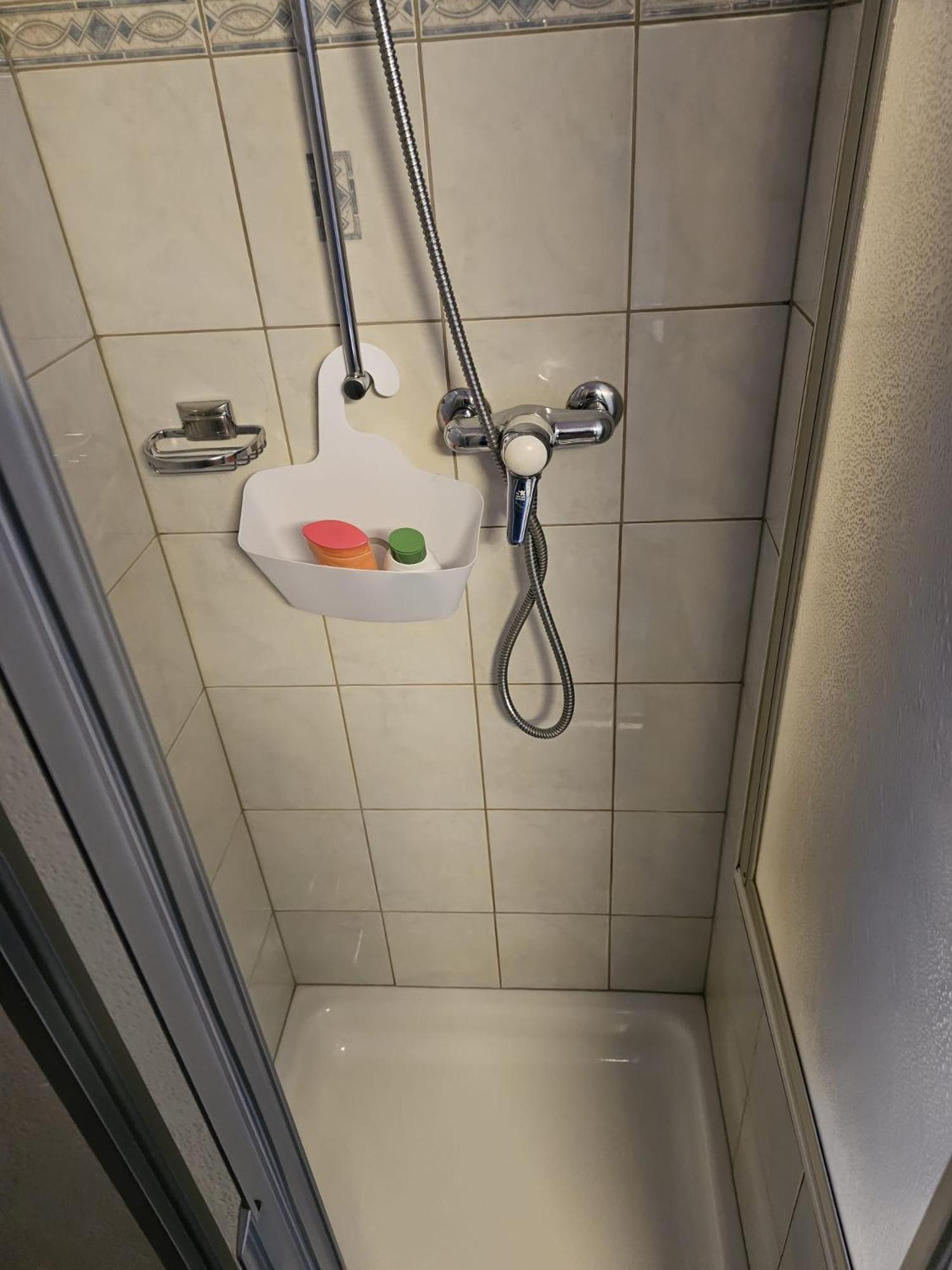 Apartment 5 Zimmer-wohnung Mit Garage Und Sauna Sankt Niklaus